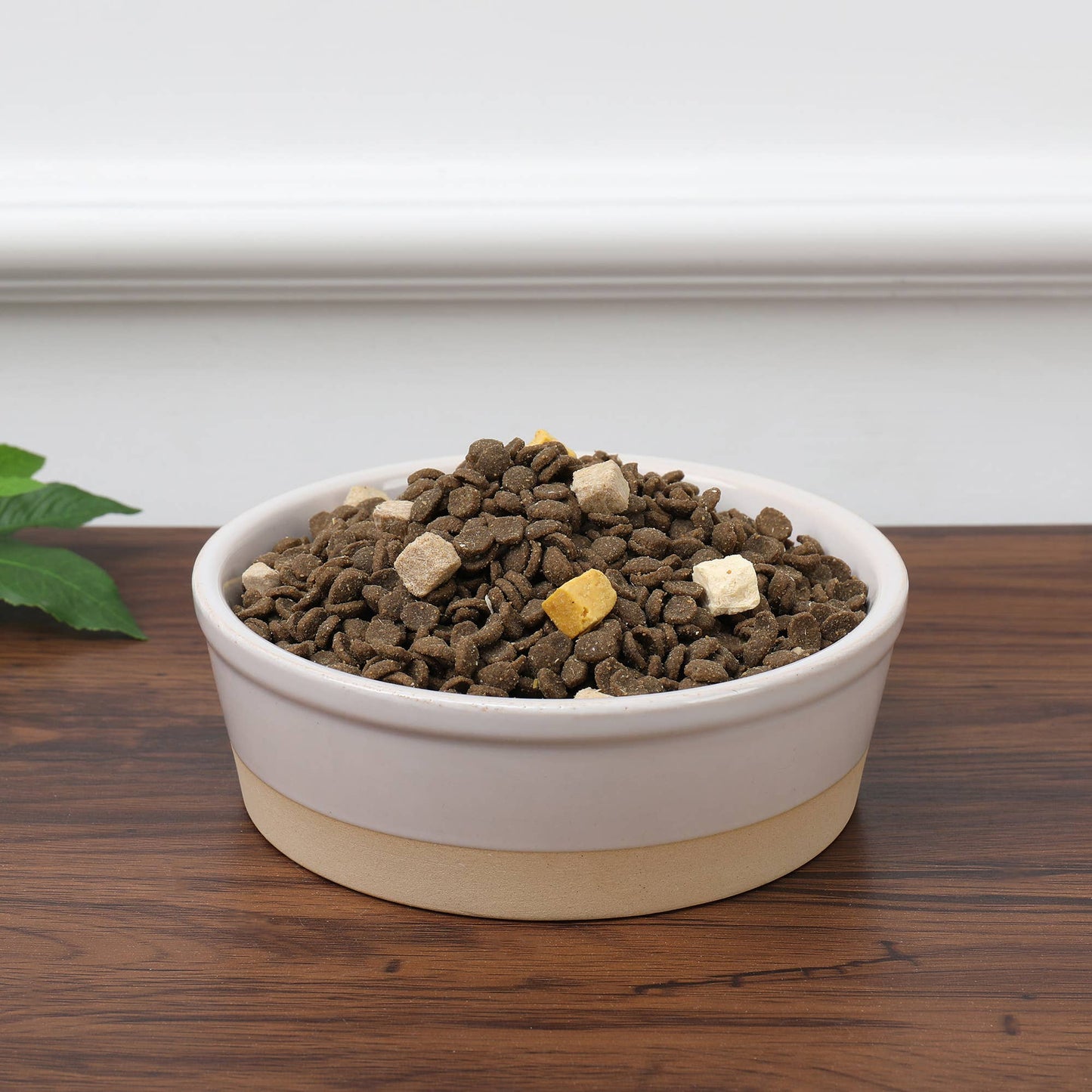 Nordic Cream Pet Bowl