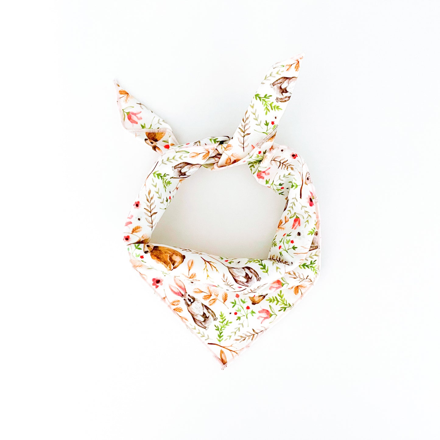 Peter Rabbit Dog Bandana