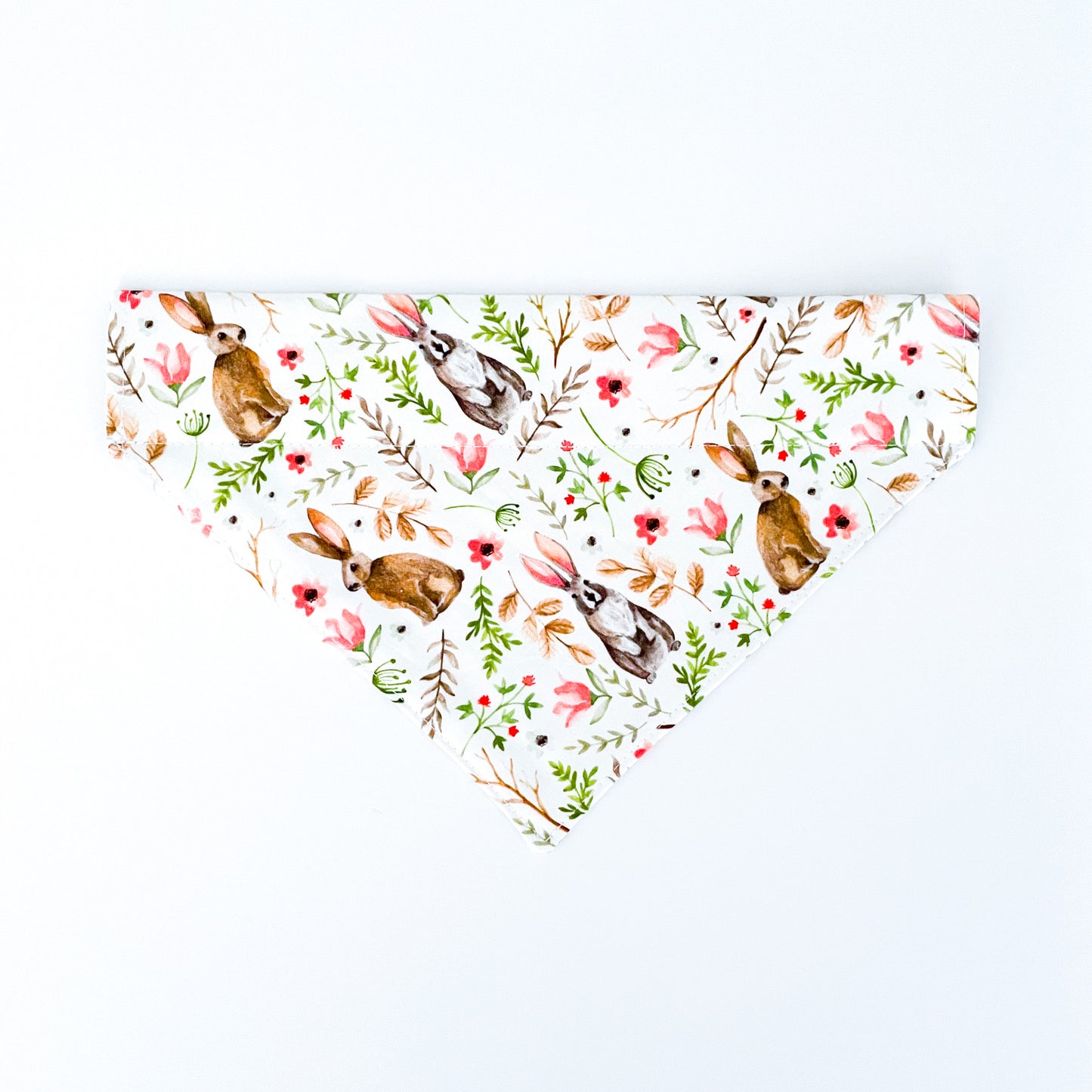 Peter Rabbit Over the Collar Dog Bandana