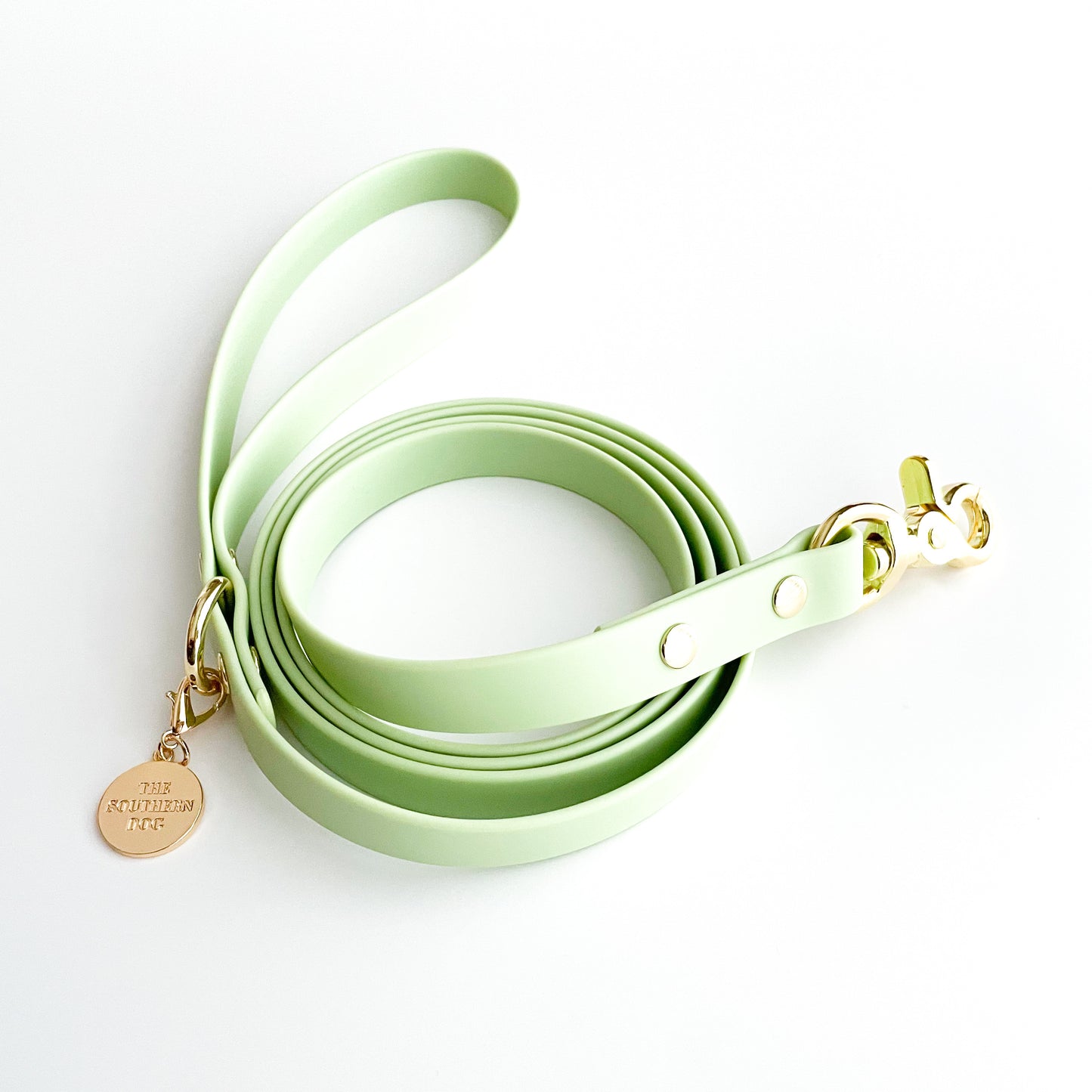 Tea Green Dog Leash