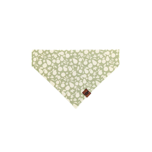 Fall Orchard Over the Collar Dog Bandana