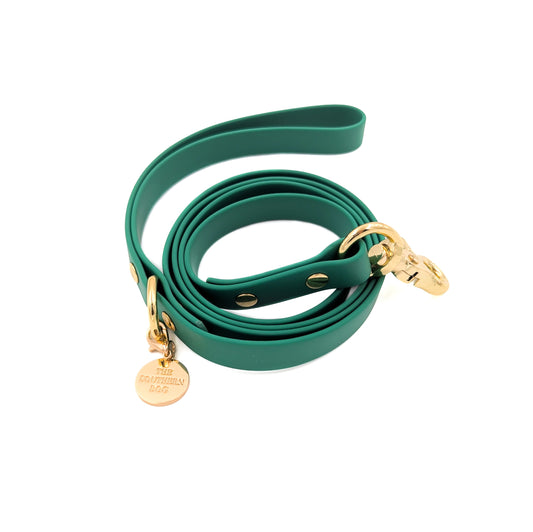 Forrest Dog Leash