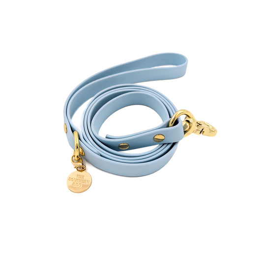 Sky Blue Dog Leash
