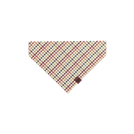 Fall Harvest Over the Collar Dog Bandana