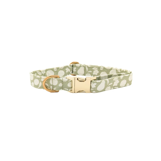 Fall Orchard Dog Collar