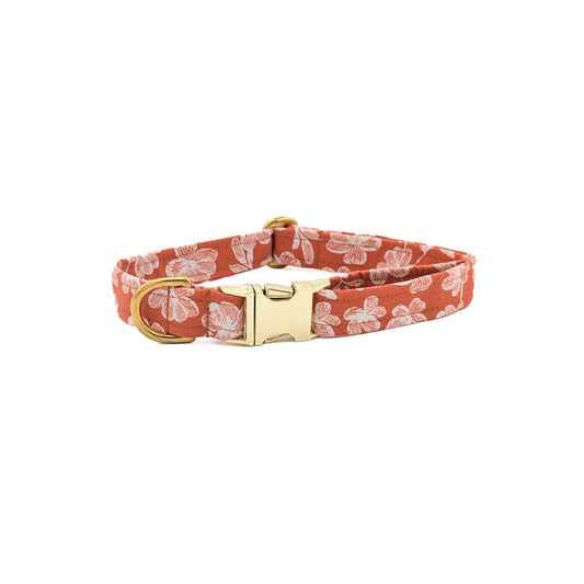 Autumn Flower Dog Collar