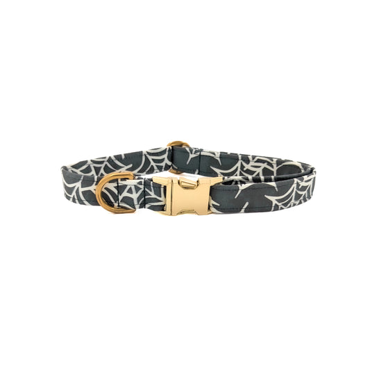 Spooky Web Dog Collar