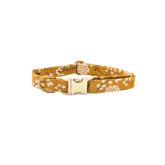 Autumn Bloom Dog Collar