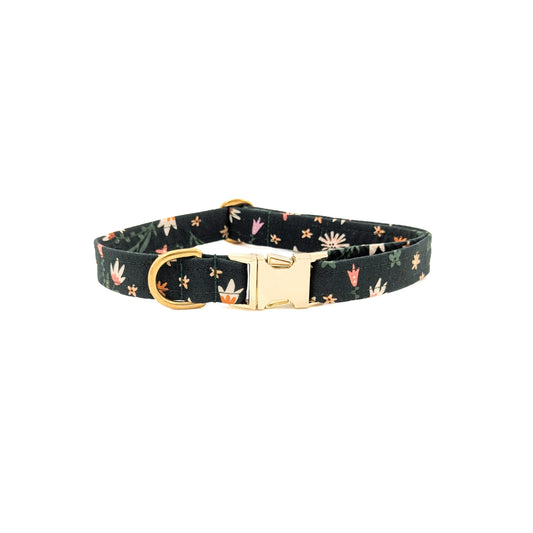 Fall Forest Dog Collar