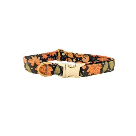 Fall Hollow Dog Collar