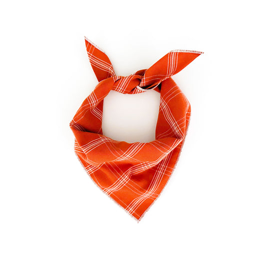 Pumpkin Patch Dog Bandana