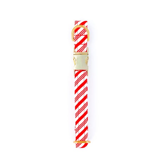 Candy Cane Dog Collar